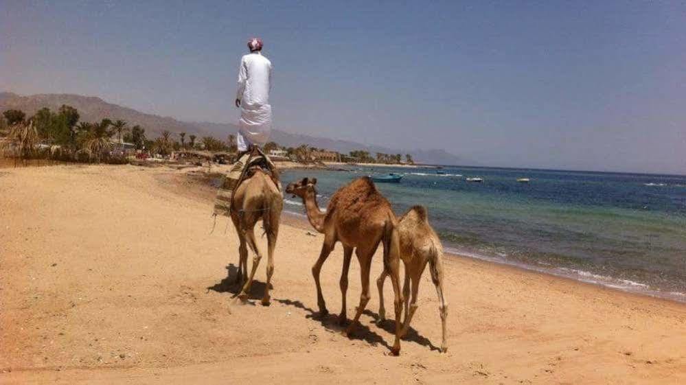 Habiba Beach Lodge Wasit Esterno foto